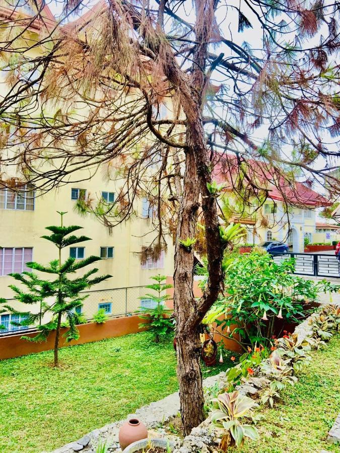 Elliannah Pines Hotel Baguio City Exteriör bild